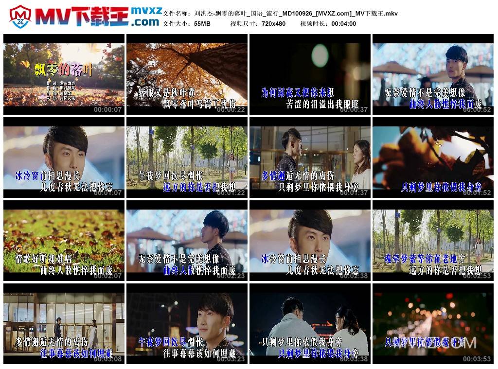 刘洪杰-飘零的落叶_国语_流行_MD100926